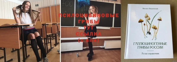 прущая мука Арсеньев