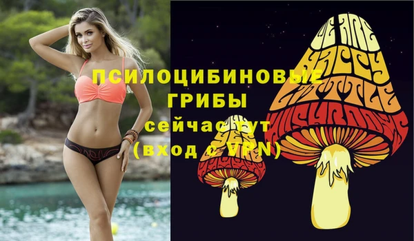 метамфетамин Аркадак